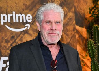 Ron Perlman comes to fallout